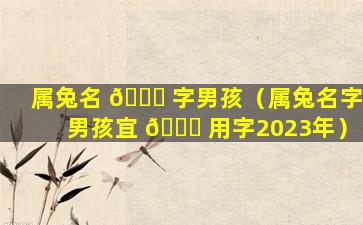 属兔名 🍁 字男孩（属兔名字男孩宜 🍁 用字2023年）